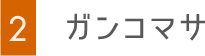 ガンコマサ